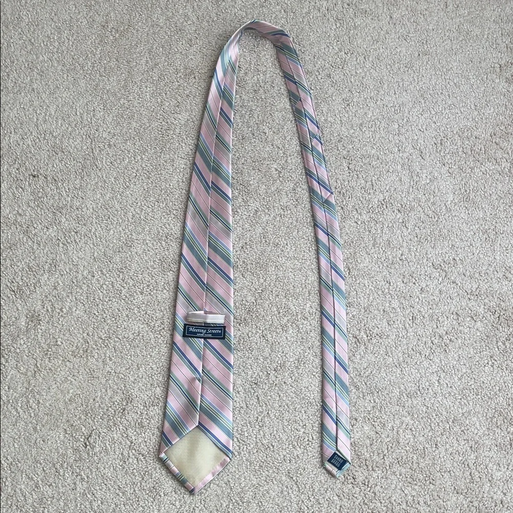 Meeting Street Elegant Multicolor Striped Tie